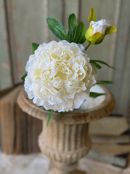 Bequest Peony | 24" | Cream | NOT CURRENTLY IN STOCK-New For Spring 2027!