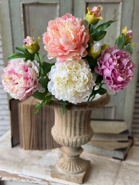 Bequest Peony | 24" | Flirt | NOT CURRENTLY IN STOCK-New For Spring 2027!