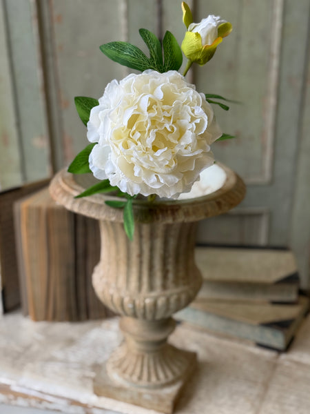 Bequest Peony | 24" | Cream | NOT CURRENTLY IN STOCK-New For Spring 2027!