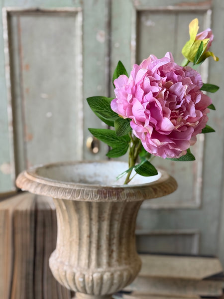 Bequest Peony | 24" | Charm | NOT CURRENTLY IN STOCK-New For Spring 2027!
