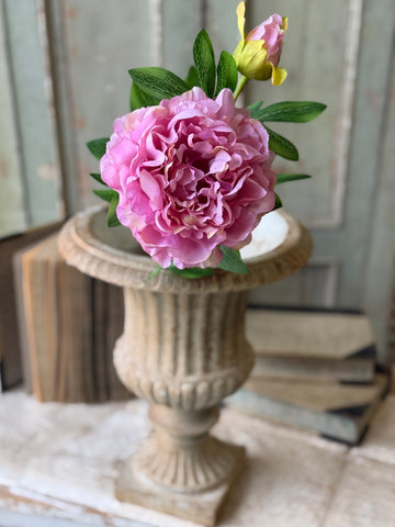 Bequest Peony | 24" | Charm | NOT CURRENTLY IN STOCK-New For Spring 2027!