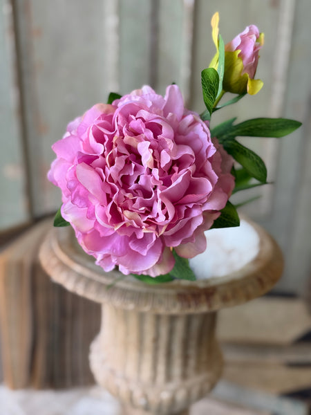 Bequest Peony | 24" | Charm | NOT CURRENTLY IN STOCK-New For Spring 2027!