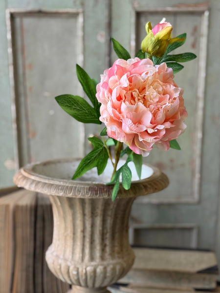 Bequest Peony | 24" | Sorbet | NOT CURRENTLY IN STOCK-New For Spring 2027!