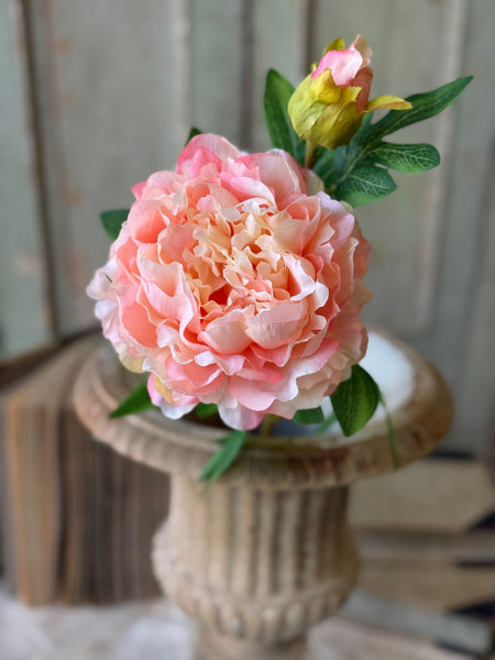 Bequest Peony | 24" | Sorbet | NOT CURRENTLY IN STOCK-New For Spring 2027!