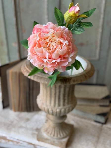 Bequest Peony | 24" | Sorbet | NOT CURRENTLY IN STOCK-New For Spring 2027!