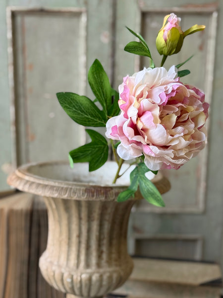 Bequest Peony | 24" | Flirt | NOT CURRENTLY IN STOCK-New For Spring 2027!