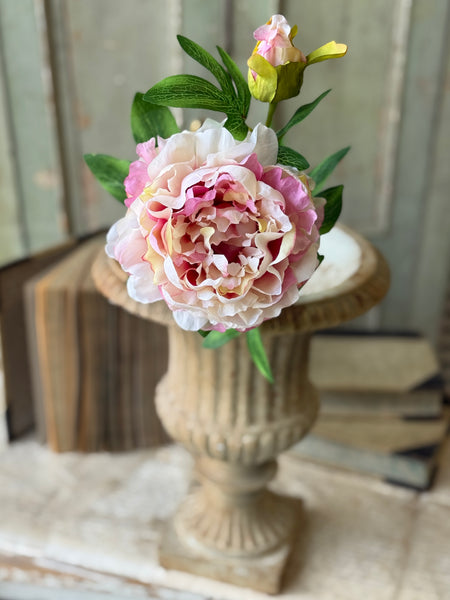 Bequest Peony | 24" | Flirt | NOT CURRENTLY IN STOCK-New For Spring 2027!