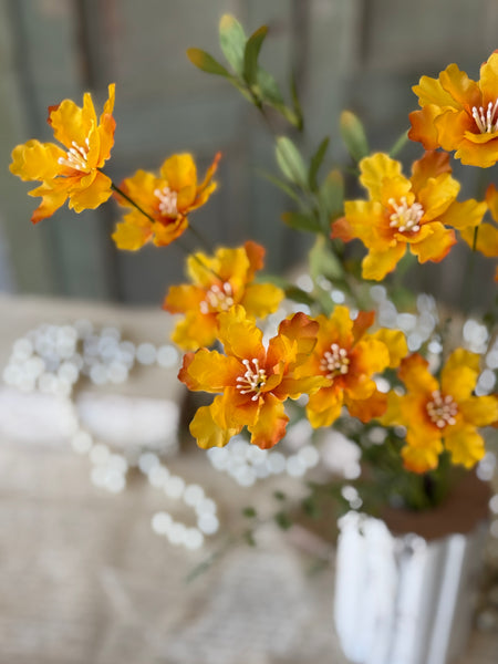 Belair Blooms | 20" | Saffron | NOT CURRENTLY IN STOCK-New For Spring 2027!