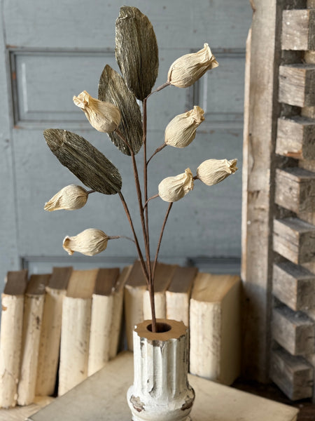 Pursley Pods Spray | 27" | NOT CURRENTLY IN STOCK-New For Spring 2027!