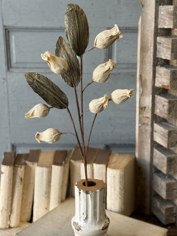 Pursley Pods Spray | 27" | NOT CURRENTLY IN STOCK-New For Spring 2027!