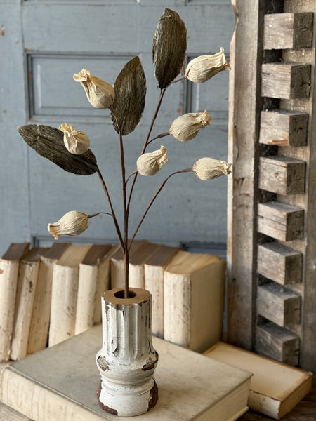 Pursley Pods Spray | 27" | NOT CURRENTLY IN STOCK-New For Spring 2027!