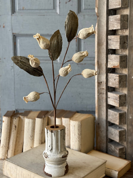 Pursley Pods Spray | 27" | NOT CURRENTLY IN STOCK-New For Spring 2027!