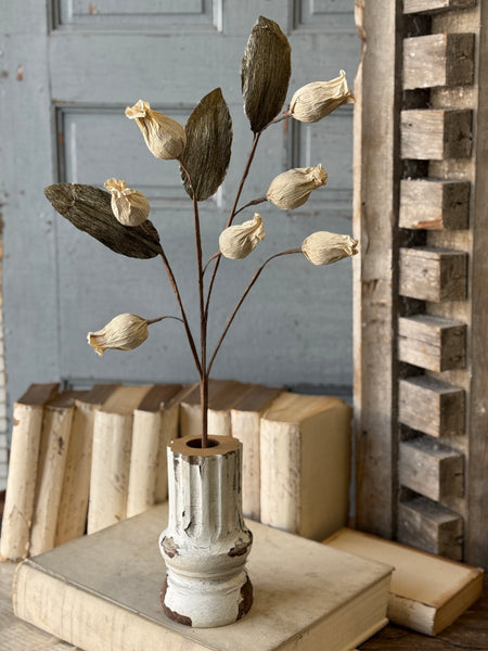 Pursley Pods Spray | 27" | NOT CURRENTLY IN STOCK-New For Spring 2027!
