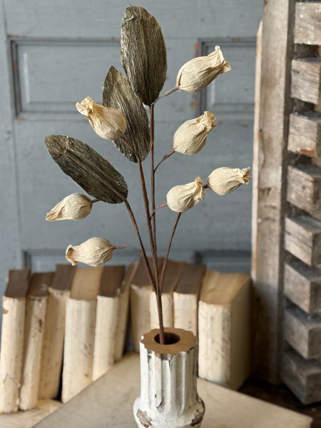 Pursley Pods Spray | 27" | NOT CURRENTLY IN STOCK-New For Spring 2027!