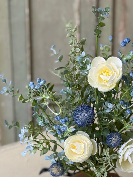 Indigo Allure Bush | 21" | NOT CURRENTLY IN STOCK-New For Spring 2027!