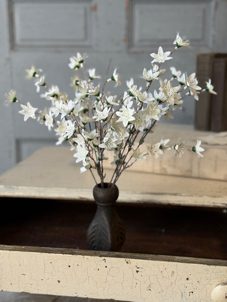 Villa Blooms Bush | 15" | NOT CURRENTLY IN STOCK-New For Spring 2027!