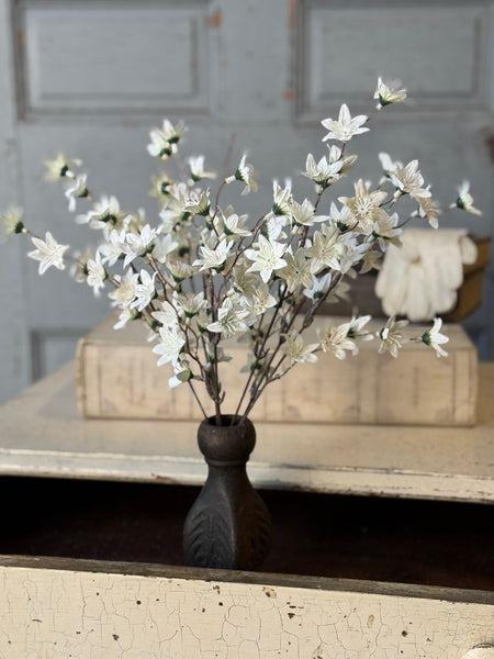 Villa Blooms Bush | 15" | NOT CURRENTLY IN STOCK-New For Spring 2027!