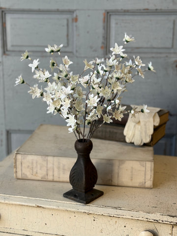 Villa Blooms Bush | 15" | NOT CURRENTLY IN STOCK-New For Spring 2027!
