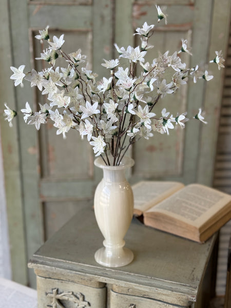 Villa Blooms Bush | 15