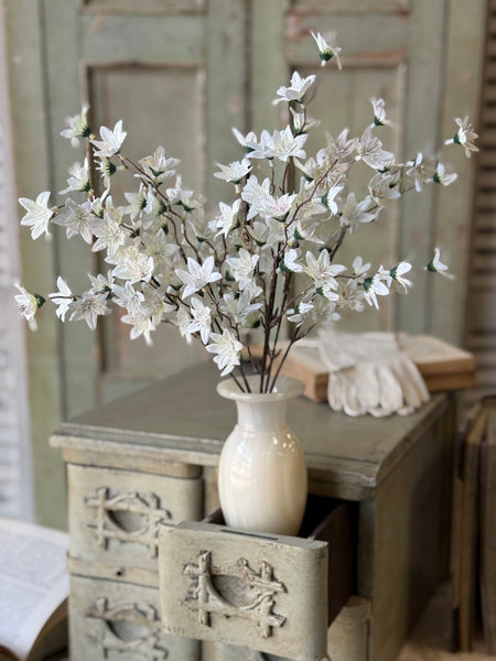 Villa Blooms Bush | 15