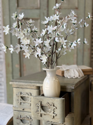 Villa Blooms Bush | 15" | NOT CURRENTLY IN STOCK-New For Spring 2027!