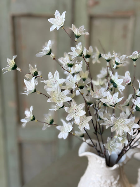 Villa Blooms Bush | 15