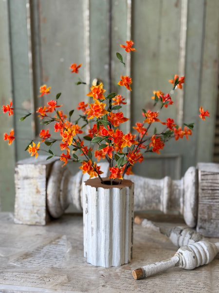 Queensway Blooms | 15" | Oriole | NOT CURRENTLY IN STOCK-New For Spring 2027!