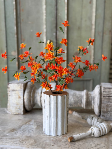 Queensway Blooms | 15" | Oriole | NOT CURRENTLY IN STOCK-New For Spring 2027!