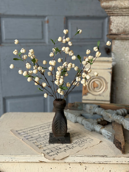 Jeckyll Berry Bush | 15" | NOT CURRENTLY IN STOCK-New For Spring 2027!