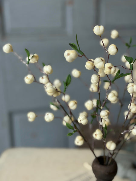 Jeckyll Berry Bush | 15" | NOT CURRENTLY IN STOCK-New For Spring 2027!