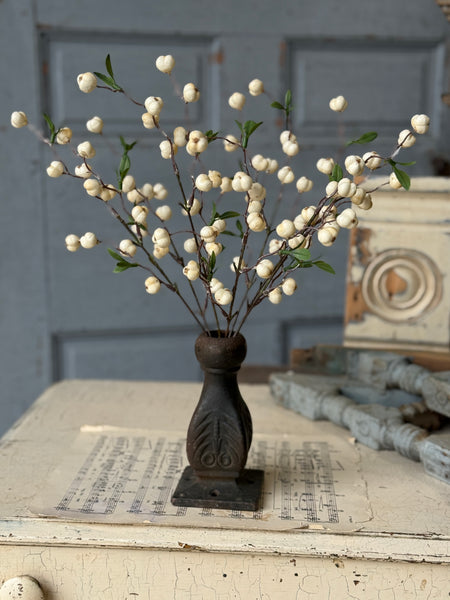 Jeckyll Berry Bush | 15" | NOT CURRENTLY IN STOCK-New For Spring 2027!