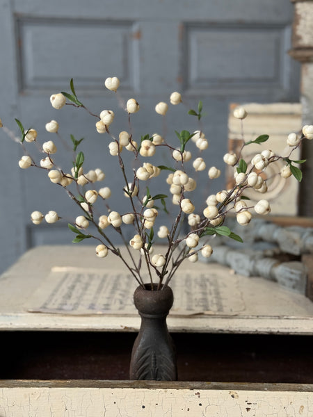 Jeckyll Berry Bush | 15" | NOT CURRENTLY IN STOCK-New For Spring 2027!