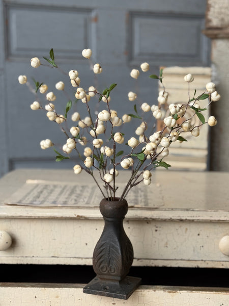 Jeckyll Berry Bush | 15" | NOT CURRENTLY IN STOCK-New For Spring 2027!