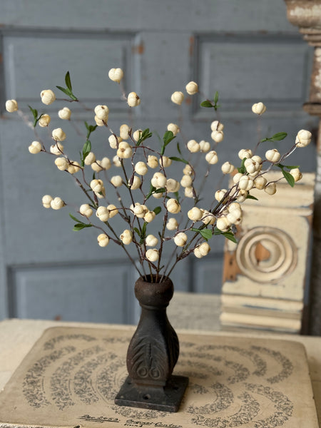 Jeckyll Berry Bush | 15" | NOT CURRENTLY IN STOCK-New For Spring 2027!