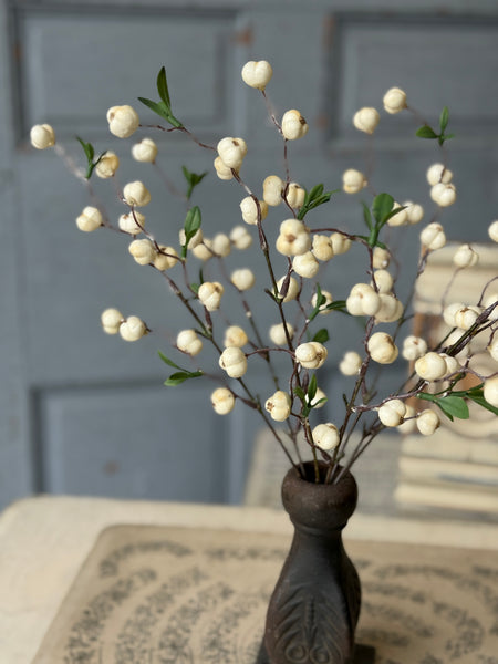 Jeckyll Berry Bush | 15" | NOT CURRENTLY IN STOCK-New For Spring 2027!
