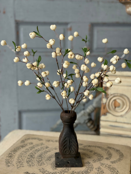 Jeckyll Berry Bush | 15" | NOT CURRENTLY IN STOCK-New For Spring 2027!
