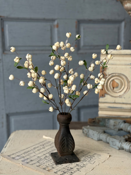 Jeckyll Berry Bush | 15" | NOT CURRENTLY IN STOCK-New For Spring 2027!