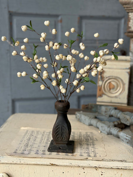 Jeckyll Berry Bush | 15" | NOT CURRENTLY IN STOCK-New For Spring 2027!