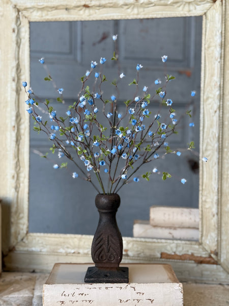 Bardot Buds Bush | 15