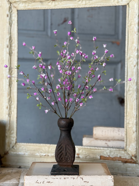 Bardot Buds Bush | 15