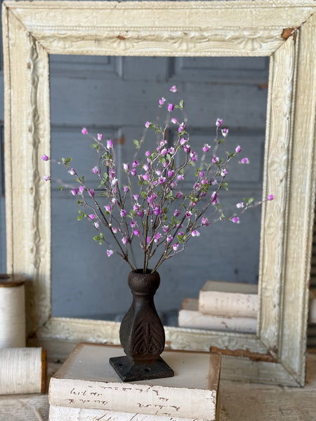 Bardot Buds Bush | 15