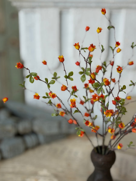 Bardot Buds Bush | 15" | Orange | NOT CURRENTLY IN STOCK-New For Spring 2027!