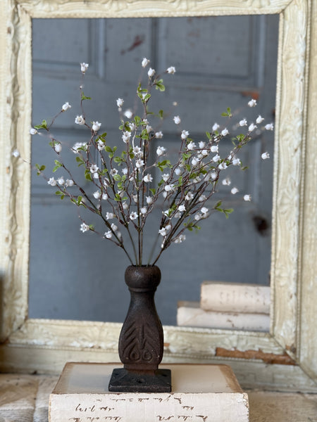 Bardot Buds Bush | 15