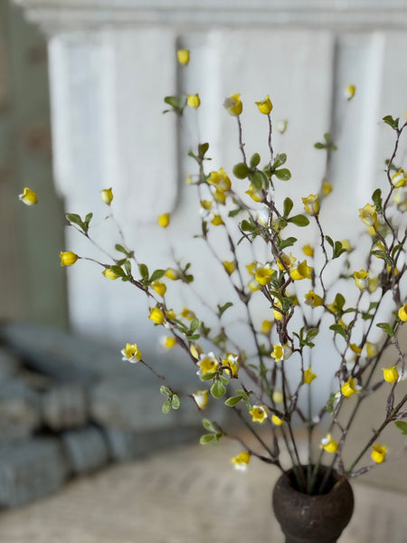 Bardot Buds Bush | 15" | Yellow | NOT CURRENTLY IN STOCK-New For Spring 2027!