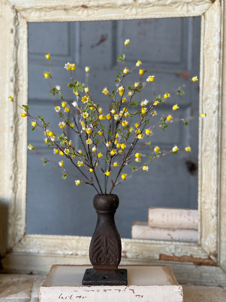 Bardot Buds Bush | 15