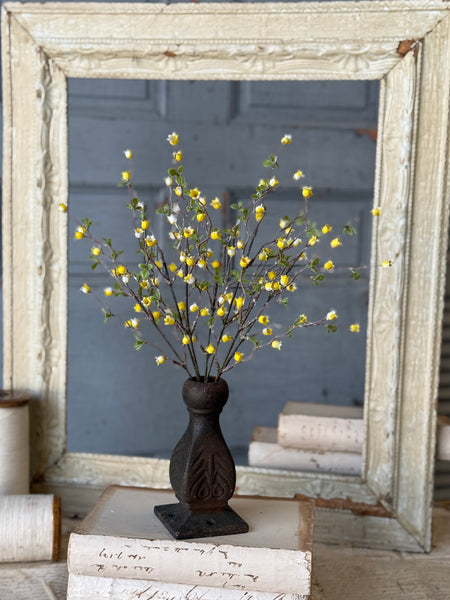 Bardot Buds Bush | 15