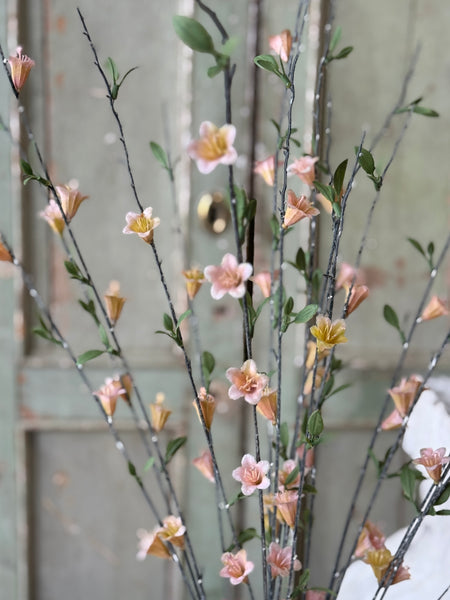 Clementine Blooms Bush | 32" | NOT CURRENTLY IN STOCK-New For Spring 2027!