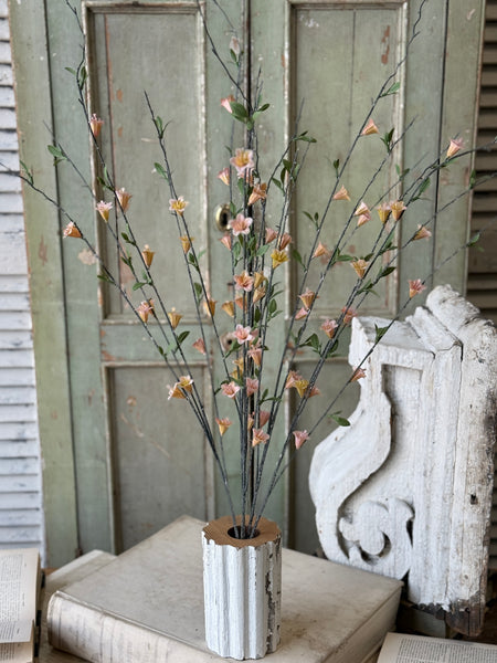 Clementine Blooms Bush | 32" | NOT CURRENTLY IN STOCK-New For Spring 2027!