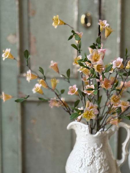 Clementine Blooms Bush | 15" | NOT CURRENTLY IN STOCK-New For Spring 2027!