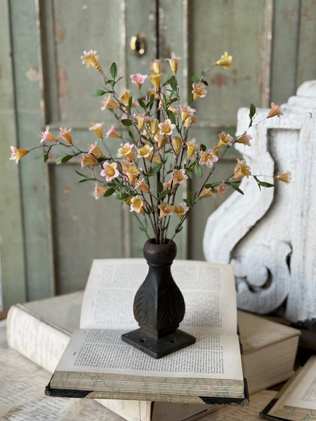 Clementine Blooms Bush | 15" | NOT CURRENTLY IN STOCK-New For Spring 2027!